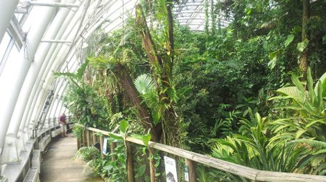 botanická zahrada skleník
