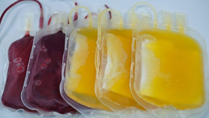 Červené krvinky a čerstvě zmrazená plazma